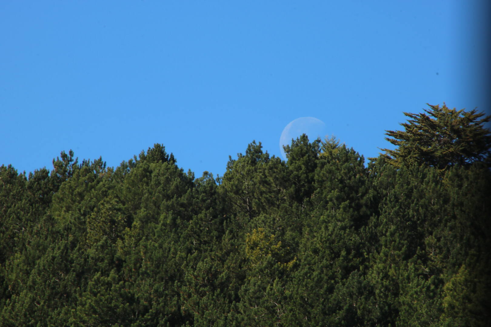 La luna tardía