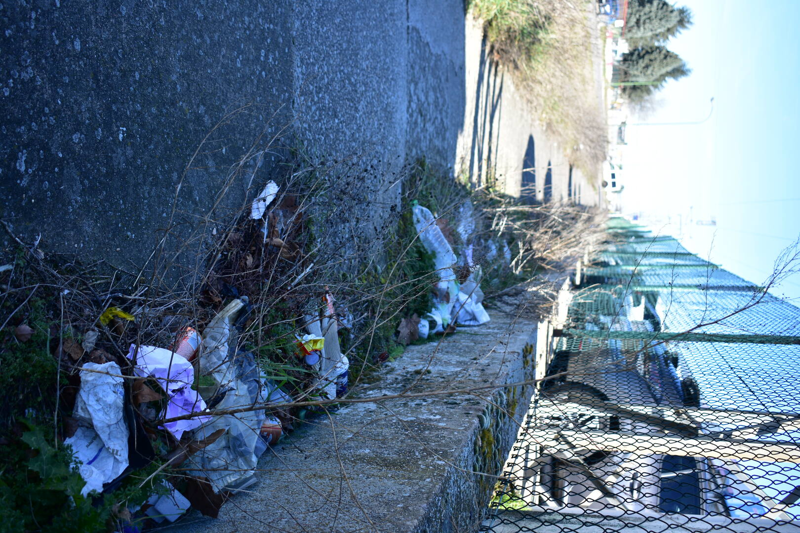 Basura acumulada en la calle